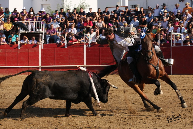 Con la cortas se adornó antes de ir a por el de muerte. (FOTO:Gallardo)