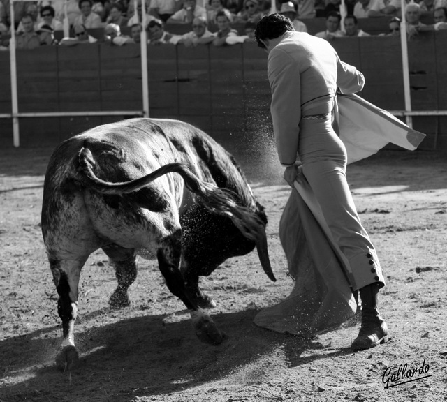 El personalísimo lance a la verónica de Ambel. (FOTO:Gallardo)