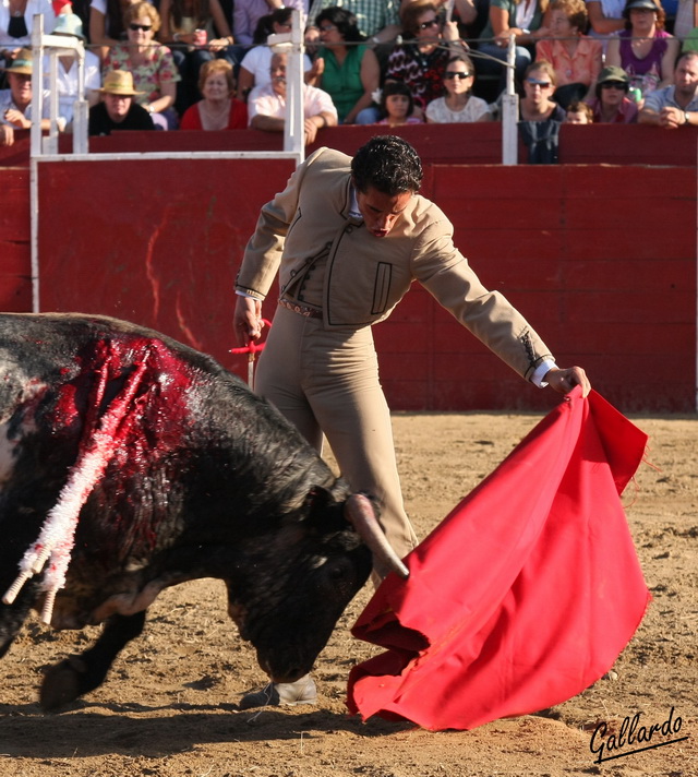 Con la muleta intentó tirar del toro para adelante con la zurda. (FOTO:Gallardo)