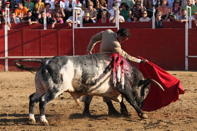 Inicio del pase de pecho. (FOTO:Gallardo)