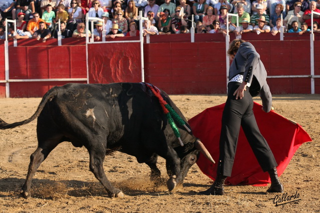 Julio intentó estirarse con su novillo. (FOTO:Gallardo)