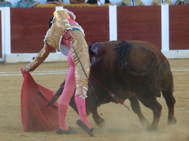 La cintura elástica, el cuerpo se alarga tanto que se detiene en el tiempo, la muleta no miente... el torero torea y enamora...