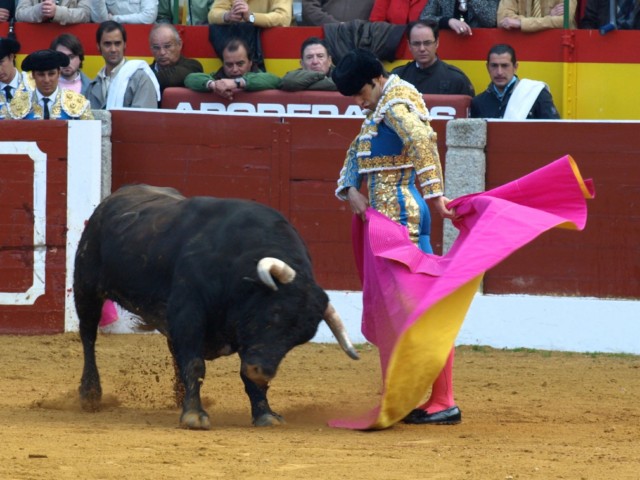 ... qué quietud, qué terrenos, qué dominio... y esos misterios en el rostro del torero...