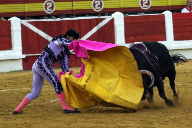 José María Soler enseñando al toro a embestir.
