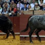 talavante_ferrera