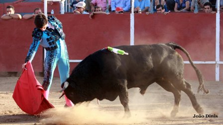 La firmeza en el trazo de José Manuel Garrido.