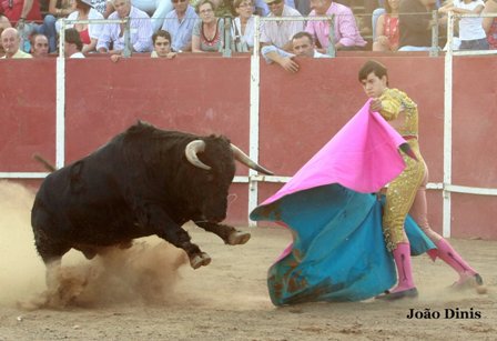 Rubén Lobato parando de capote a su novillo.