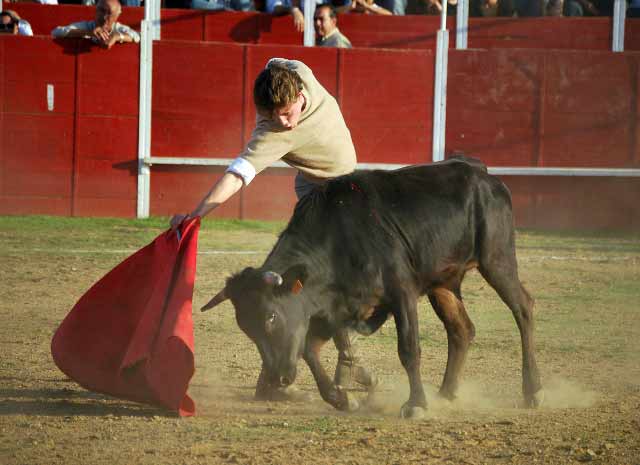 Tomás Angulo toreando en redondo.