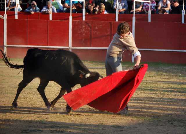 Tomás, muy encajado toreando al natural.