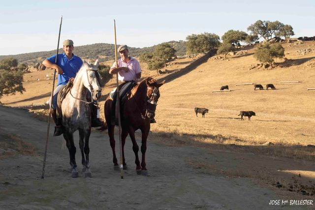 Ganadero y mayoral encaminándose a la manada.