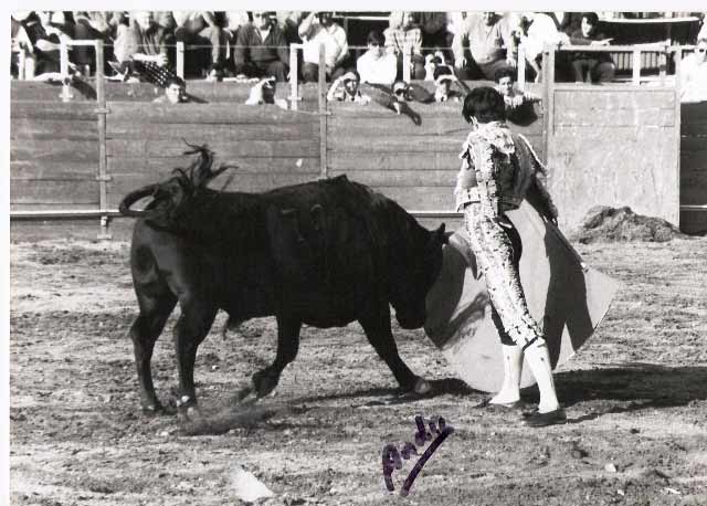 Juan conduciendo a media altura al novillo-toro (FOTO: Andy)