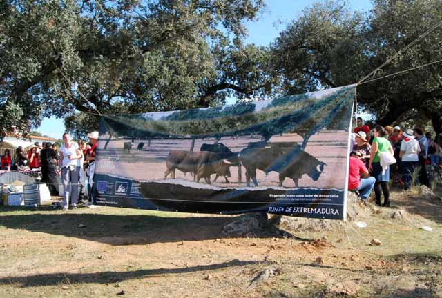 Se celebró el 'Día de la Dehesa'.