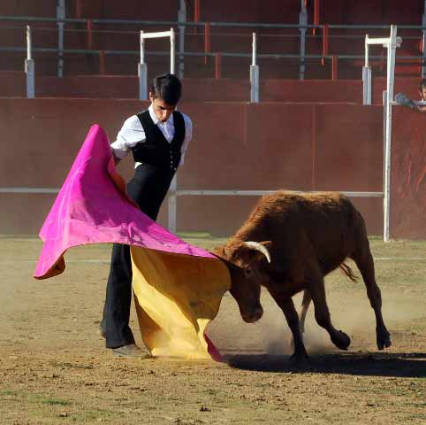 Cuqui lanceando a la primera vaca de Píriz.