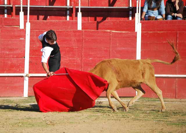 Cuqui muleteando con la derecha.