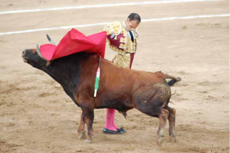 Epilogó la faena por medio de manoletinas.