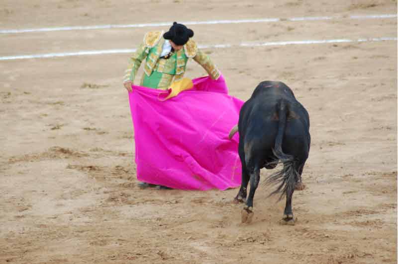 Por medio de chicuelinas enjaretó el quite.