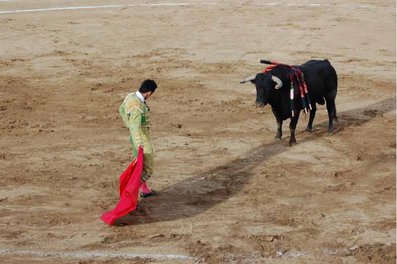 Dando distancia para torear en redondo.