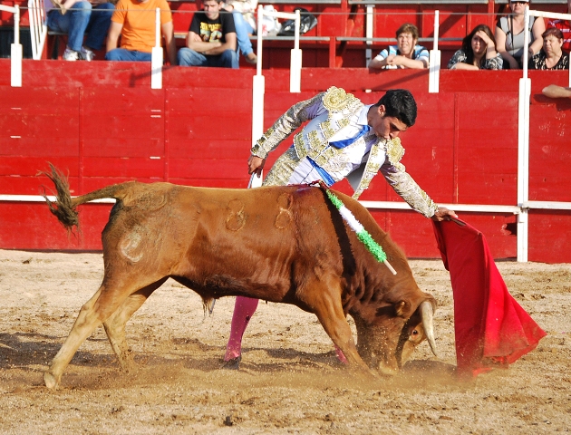 Nobleza que se puede apreciar en cómo humillaba por el pitón izquierdo. (FOTO:Fco. Javier Campos)