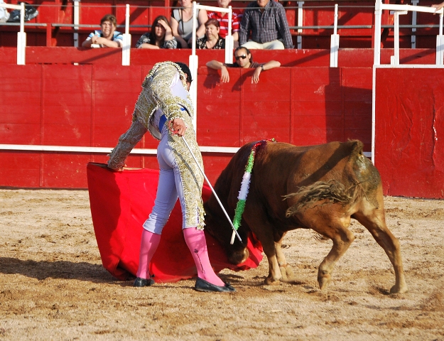 El eral de Píriz no dejó nunca de querer coger la muleta. (FOTO:Fco. Javier Campos)