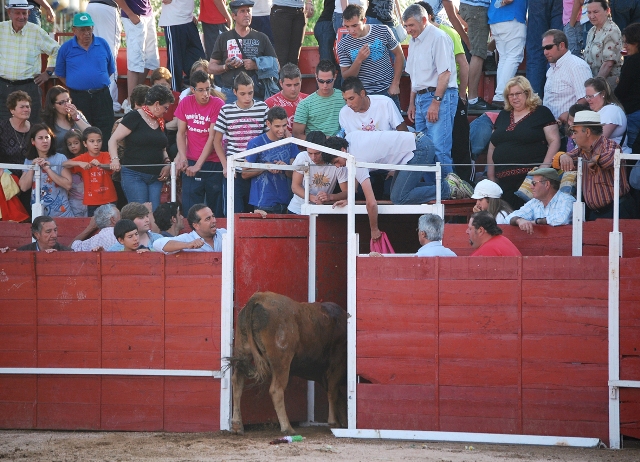 Enhorabuena 'Fabuloso', volviste a tu casa...(FOTO:Fco. Javier Campos)