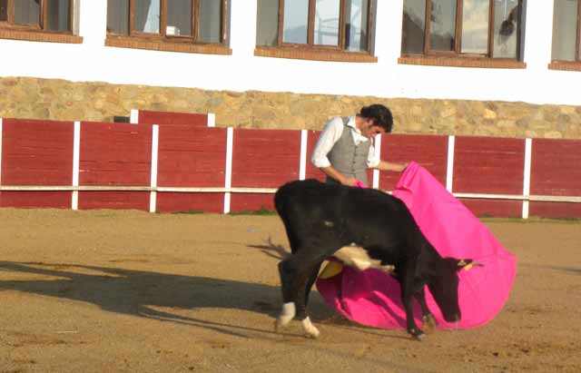 'Fini' en un lance a la verónica.