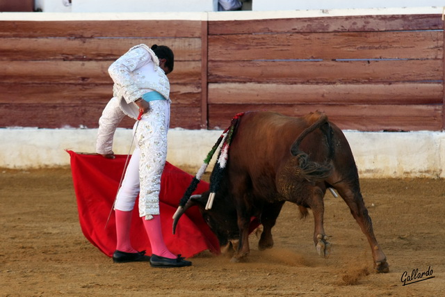 Una máxima en la tauromaquia de Rafael: la mano baja.