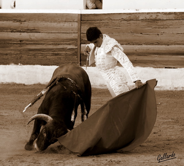 Rafael Cerro gustándose en el remate. (FOTO:Gallardo)