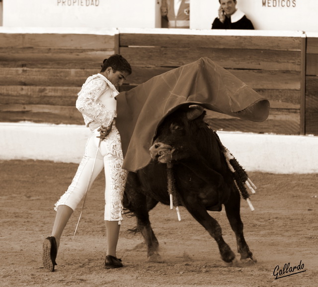 Majestuosidad en el pases de pecho de pitón a rabo. (FOTO:Gallardo)