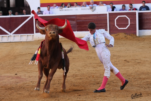 Pase de pecho al eral de Píriz.