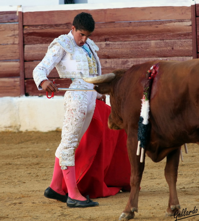 El adorno valeroso y torero.