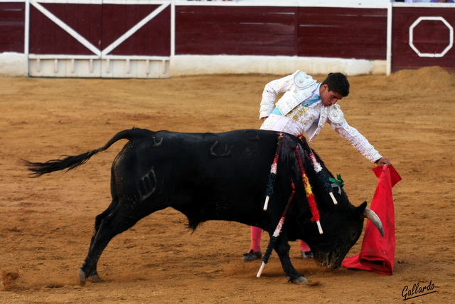 Toreo largo, toreo eterno...