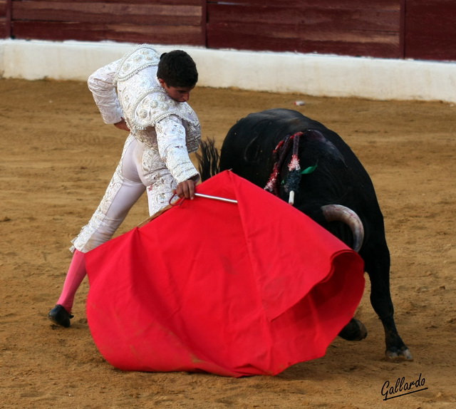 Sensacional derechazo.