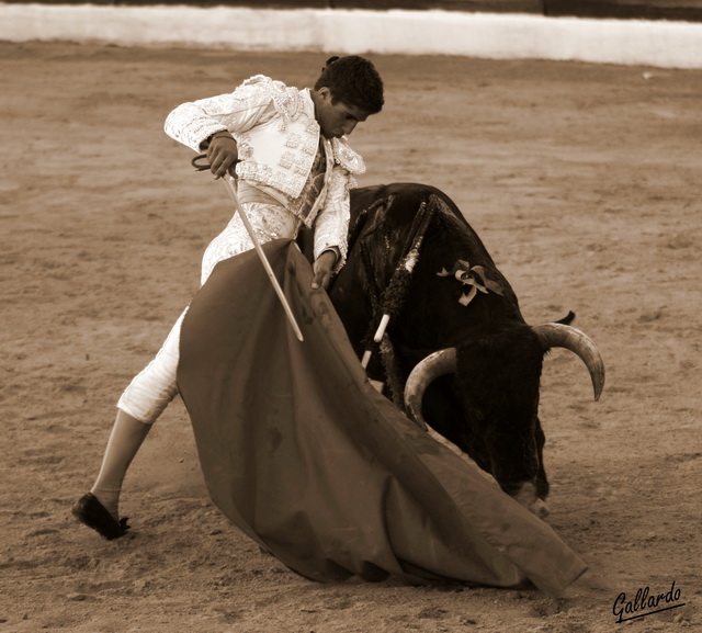 Cartel de toro en este esbozo de trincherilla en sepia. (FOTO:Gallardo)