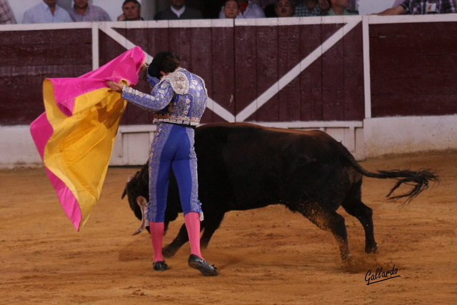 El capote de Tomás Angulo dibuja tafalleras en la plaza de Zafra.