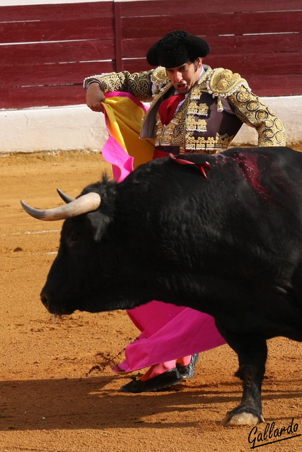 Las chicuelinas con que quitó al primero de la tarde.