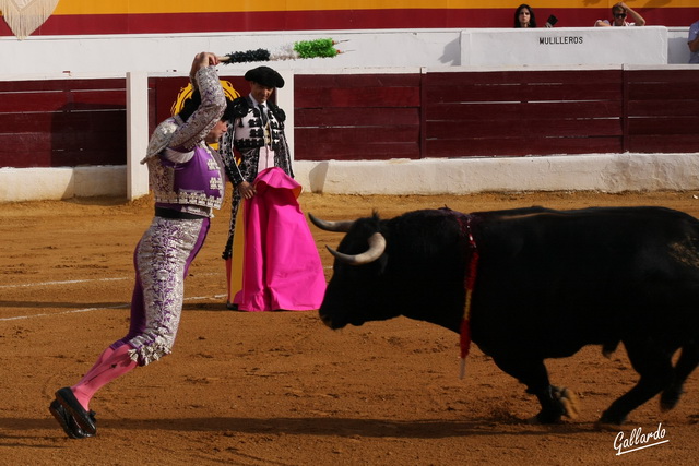 Sánchez Araujo dispuesto para dejar los garapullos en lo alto.