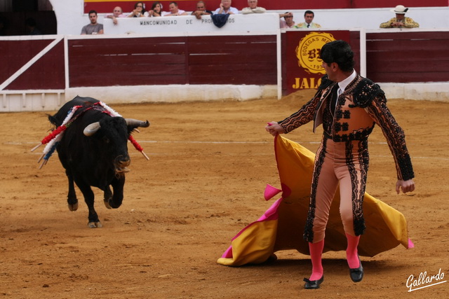 Alcalareño cerrando el toro en tablas a una mano.