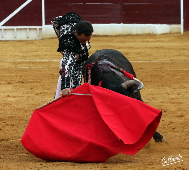 Con la derecha hoy ha dado un curso de cómo se debe templar.