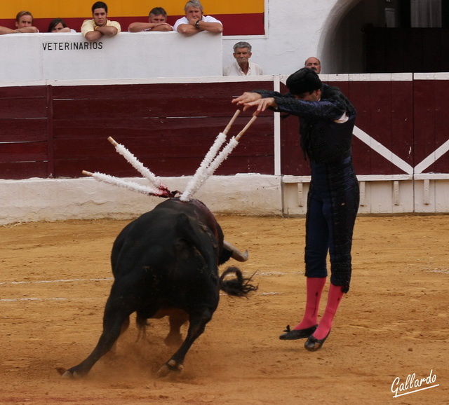 Julio López dejando los palos.