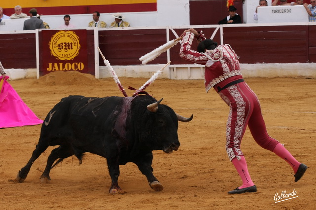 Fernando J. Plaza ejecutando la suerte.