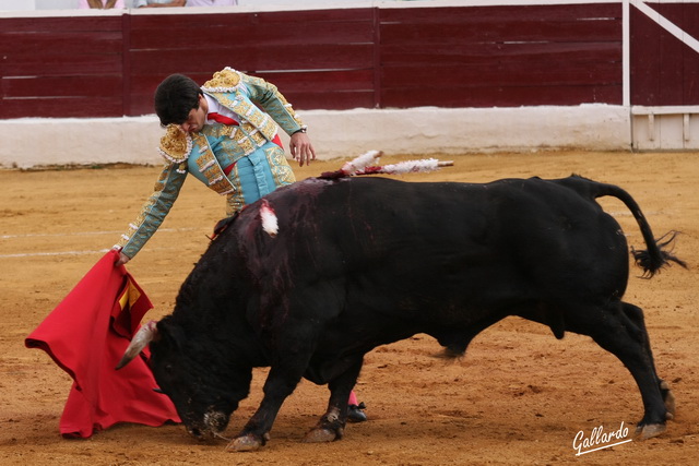 Firmeza en el derechazo de Talavante.