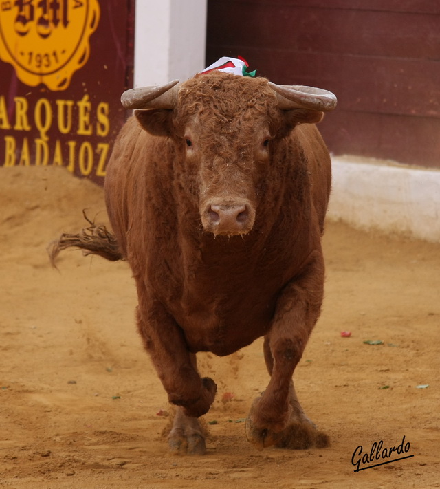 El melocotón que hizo cuarto sólo tuvo fachada. (FOTO:Gallardo)