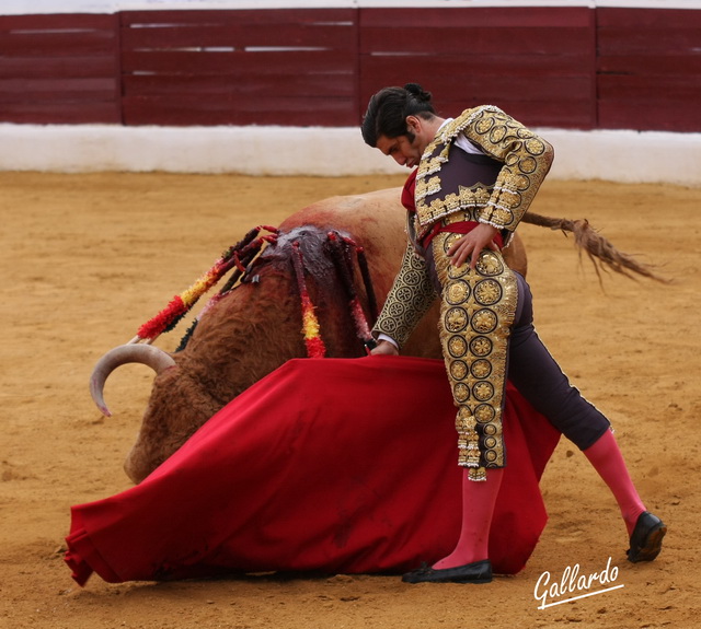 ¡Trincherazo de cartel de toros! Morante sublime...(FOTO:Gallardo)