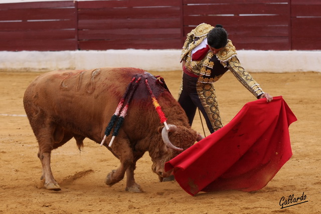 Ni mejor ni peor, simplemente diferente, distinta, única.