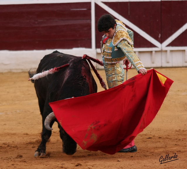 La mano de Talavante, ¡la izquierda!