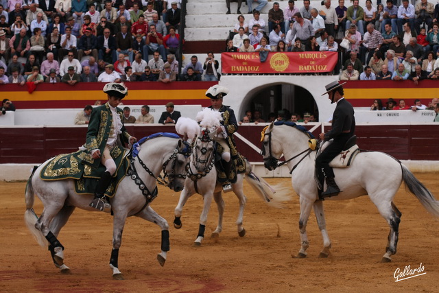 Carrusel en el centro del ruedo segedano.