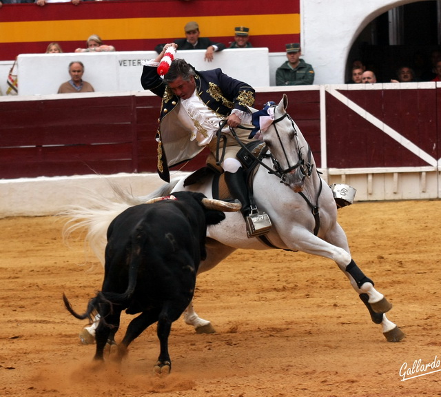 Joao Moura demostrando la pureza de su toreo en el embroque. (FOTO:Gallardo)