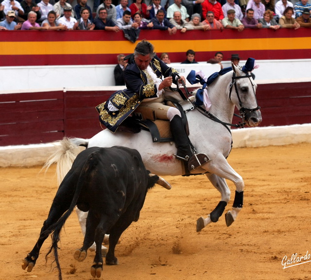 Templando a dos pistas. Con un pero, demasiada espuela