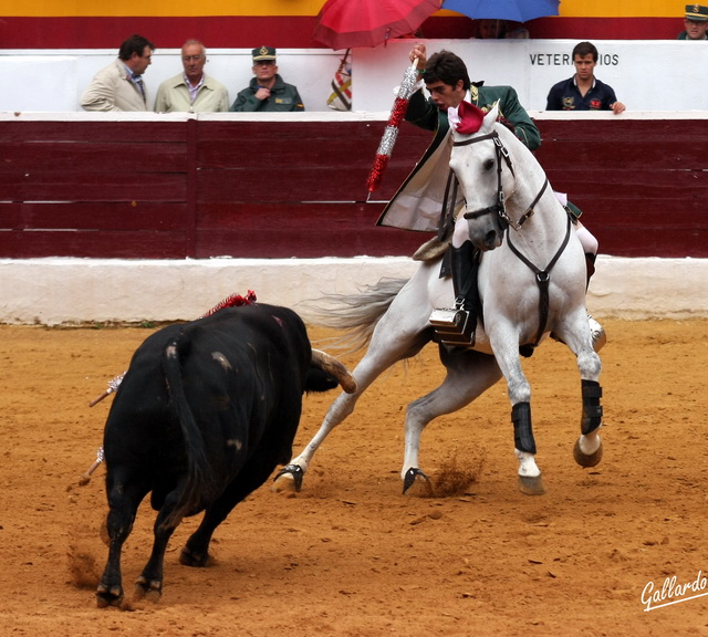 Abréndose en semicírculo para dejar la farpa.