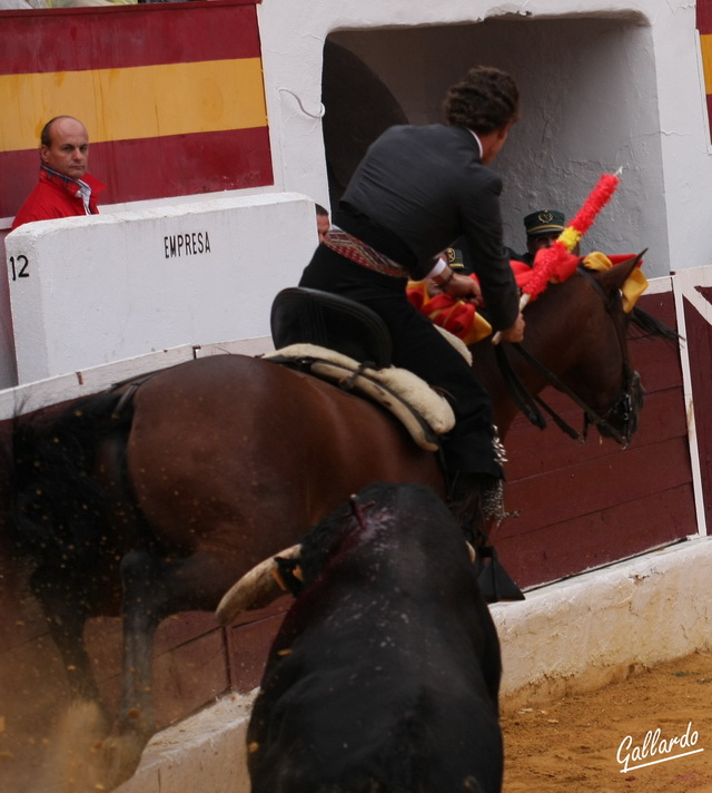 Apurado en tablas tras el arreón del toro.